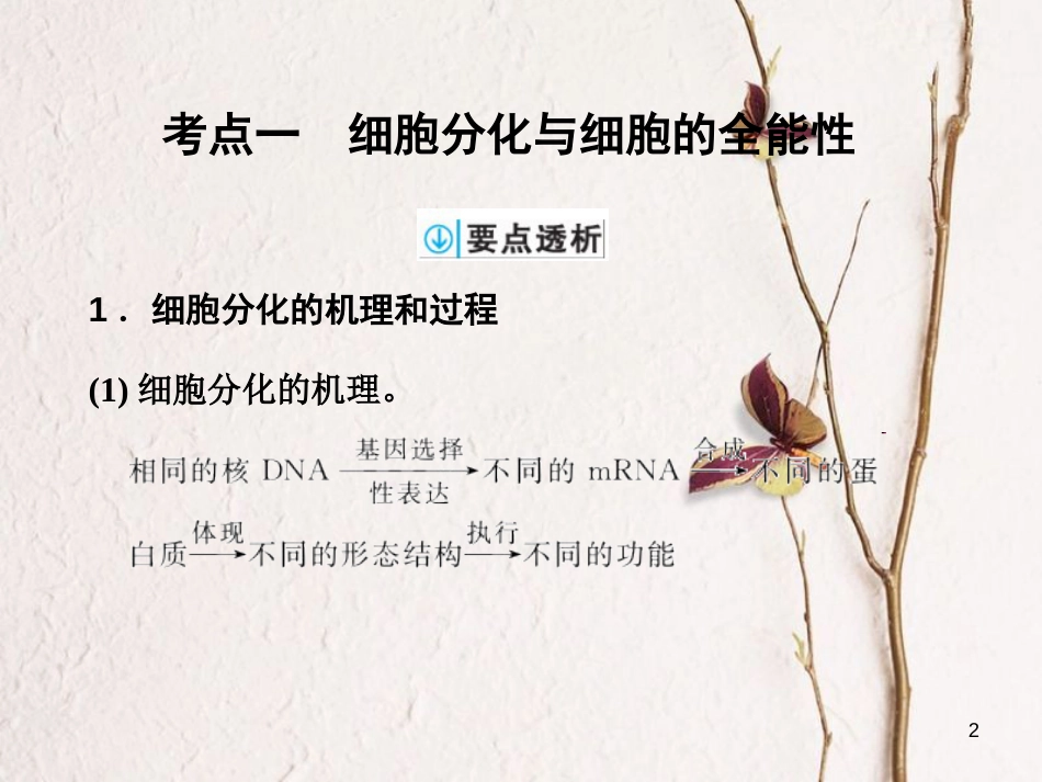 高考生物一轮复习 第4单元 细胞的生命历程 第13讲 细胞的分化、衰老、凋亡和癌变课件_第2页