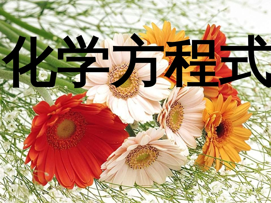 九年级科学上册 第1章 第1节 化学方程式课件1 （新版）华东师大版[共14页]_第1页