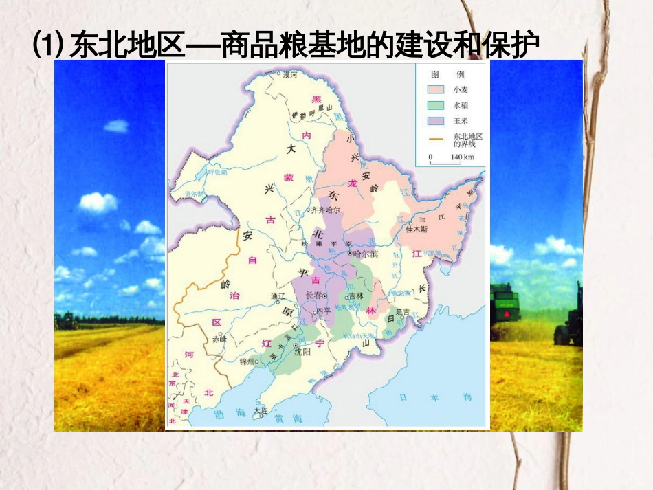 辽宁省抚顺市第一中学学年高一地理 世界地理 11北方地区课件2_第3页