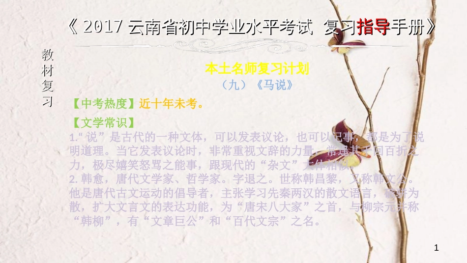 云南省中考语文 专题一 文言文阅读 本土名师复习计划（九）《马说》复习课件_第1页