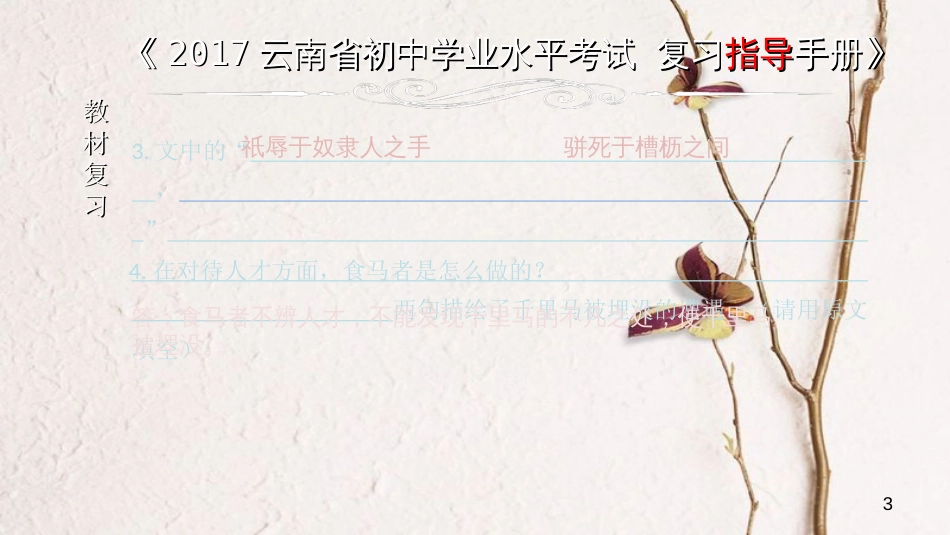 云南省中考语文 专题一 文言文阅读 本土名师复习计划（九）《马说》复习课件_第3页