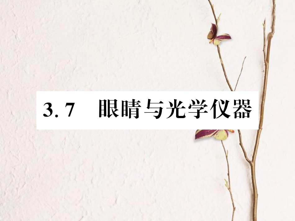 八年级物理上册 3.7 眼睛与光学仪器习题课件 （新版）粤教沪版_第1页