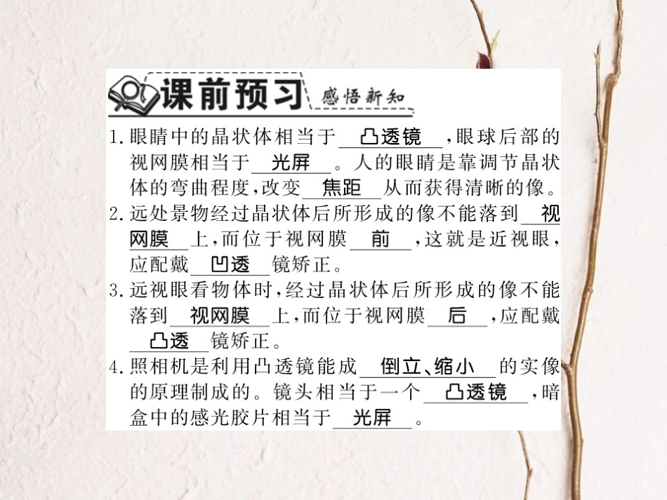 八年级物理上册 3.7 眼睛与光学仪器习题课件 （新版）粤教沪版_第2页