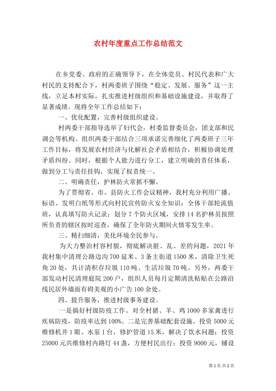 农村年度重点工作总结范文_第1页