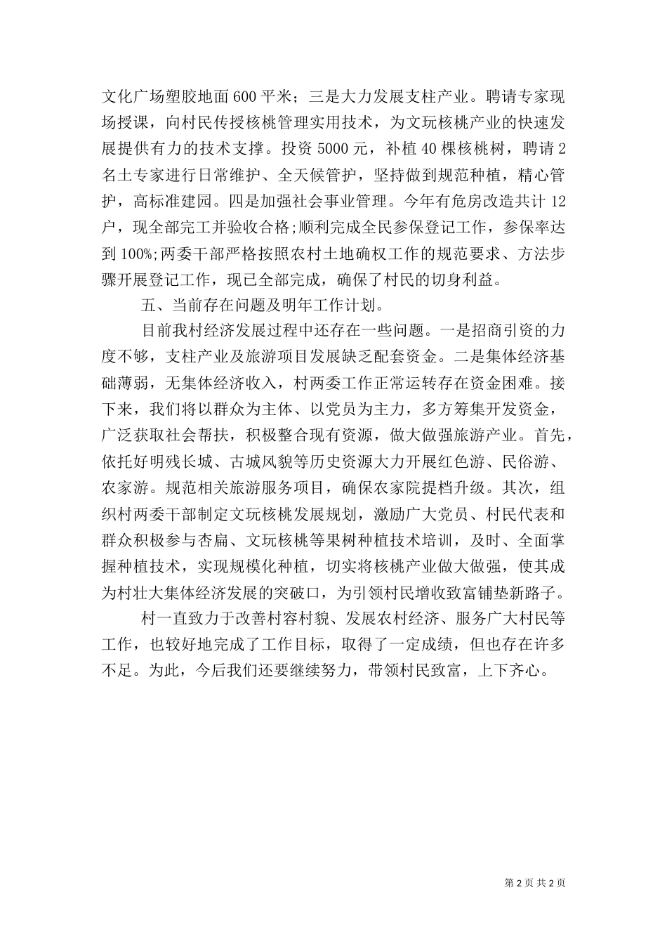 农村年度重点工作总结范文_第2页