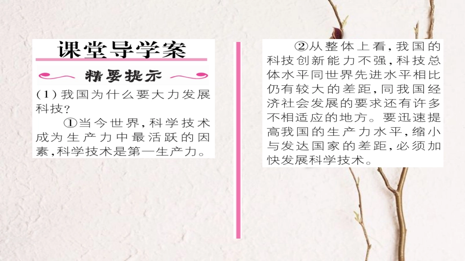 九年级政治全册 第二单元 了解祖国 爱我中华 第四课 了解基本国策与发展战略 第4框 实施科教兴国战略同步作业课件 新人教版[共27页]_第2页