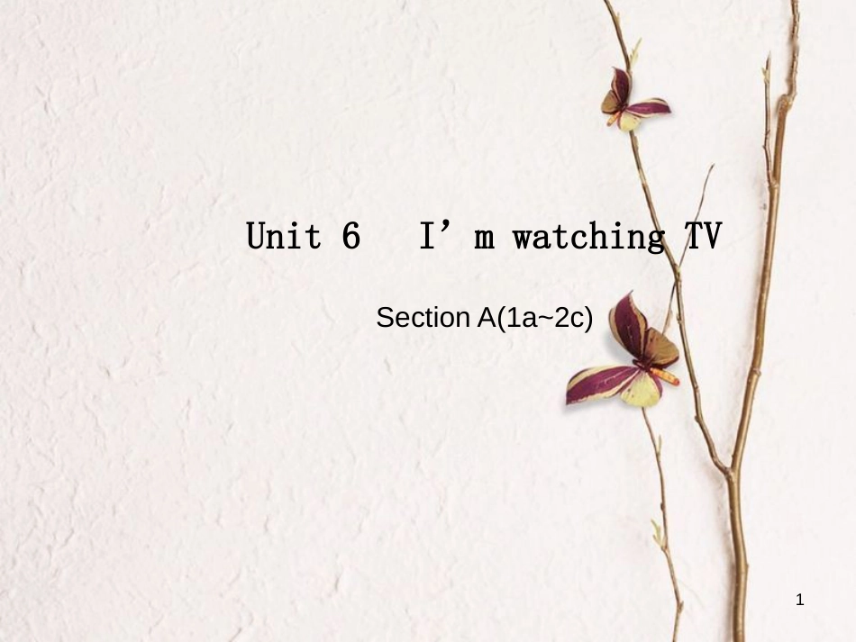 七年级英语下册 Unit 6 Im watching TV Section A（1a-2c）课件 （新版）人教新目标版_第1页