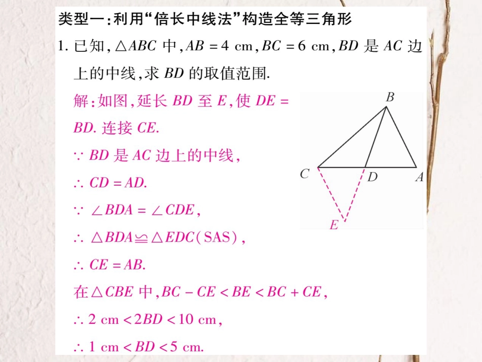 八年级数学上册 专题2 构造三角形全等的几种方法课件 （新版）新人教版_第2页