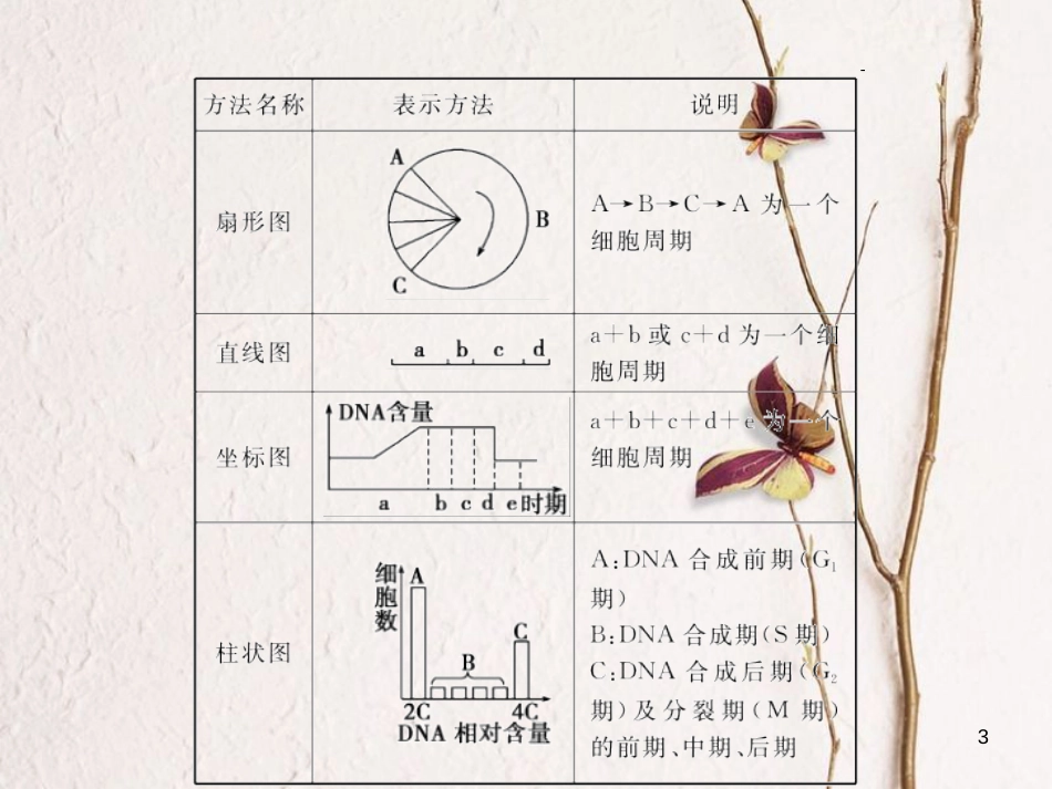 高考生物一轮复习 第4单元 细胞的生命历程 第11讲 细胞的增殖课件_第3页