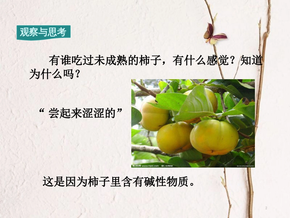 九年级化学下册 第10单元 酸和碱 课题1 常见的酸和碱 第3课时 几种常见的碱 碱的化学性质教学课件 （新版）新人教版[共19页]_第2页