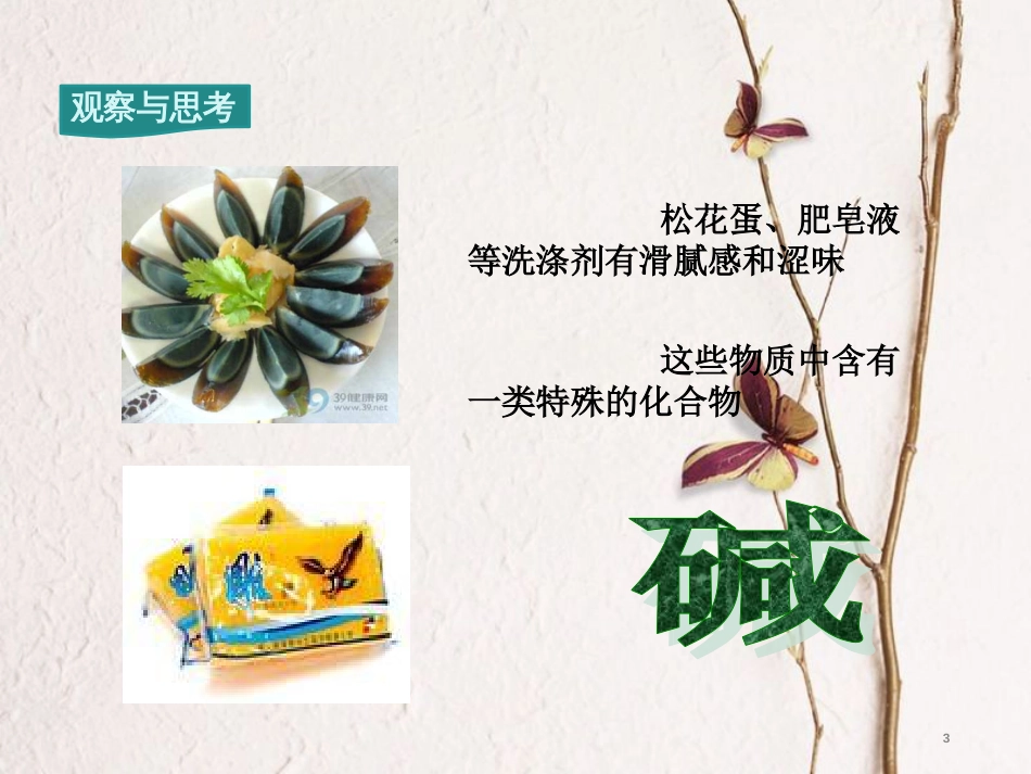 九年级化学下册 第10单元 酸和碱 课题1 常见的酸和碱 第3课时 几种常见的碱 碱的化学性质教学课件 （新版）新人教版[共19页]_第3页