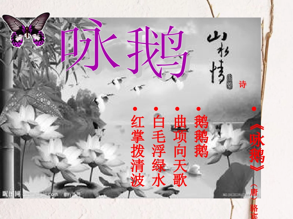 一年级音乐上册 第13课 咏鹅课件1 花城版[共5页]_第1页