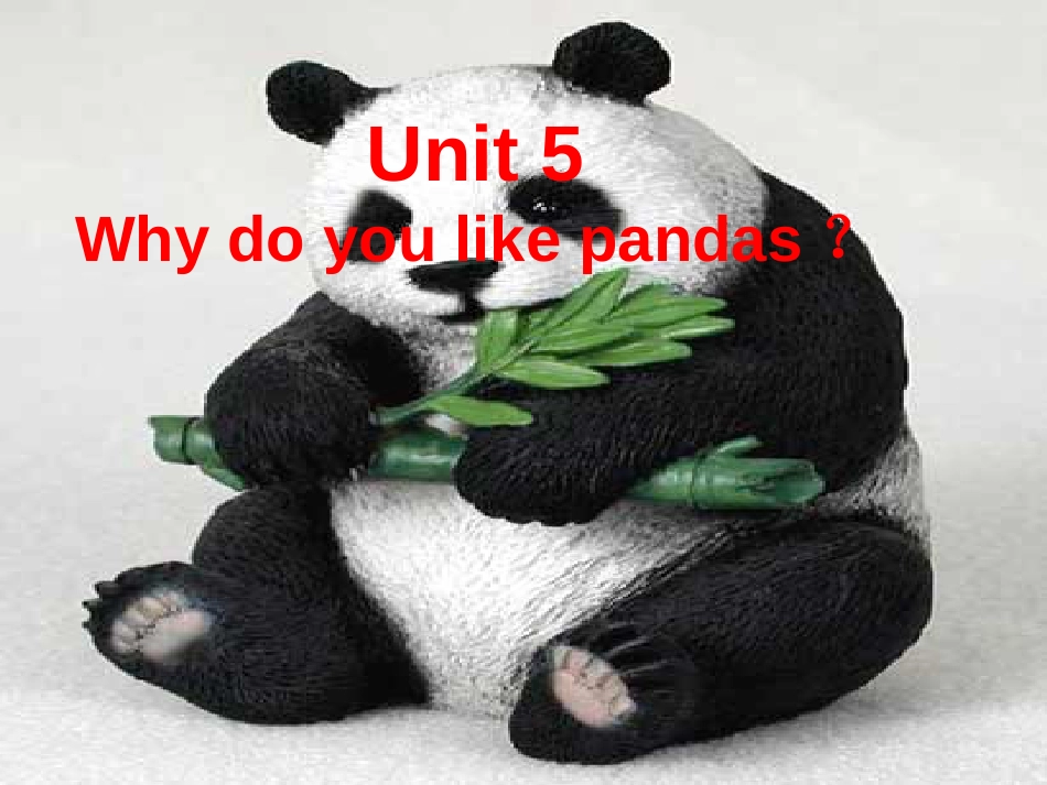 （水滴系列）七年级英语下册 Unit 5 Why do you like pandas（第5课时）Section B（2a-2e）阅读课课件 （新）人教新目标_第2页