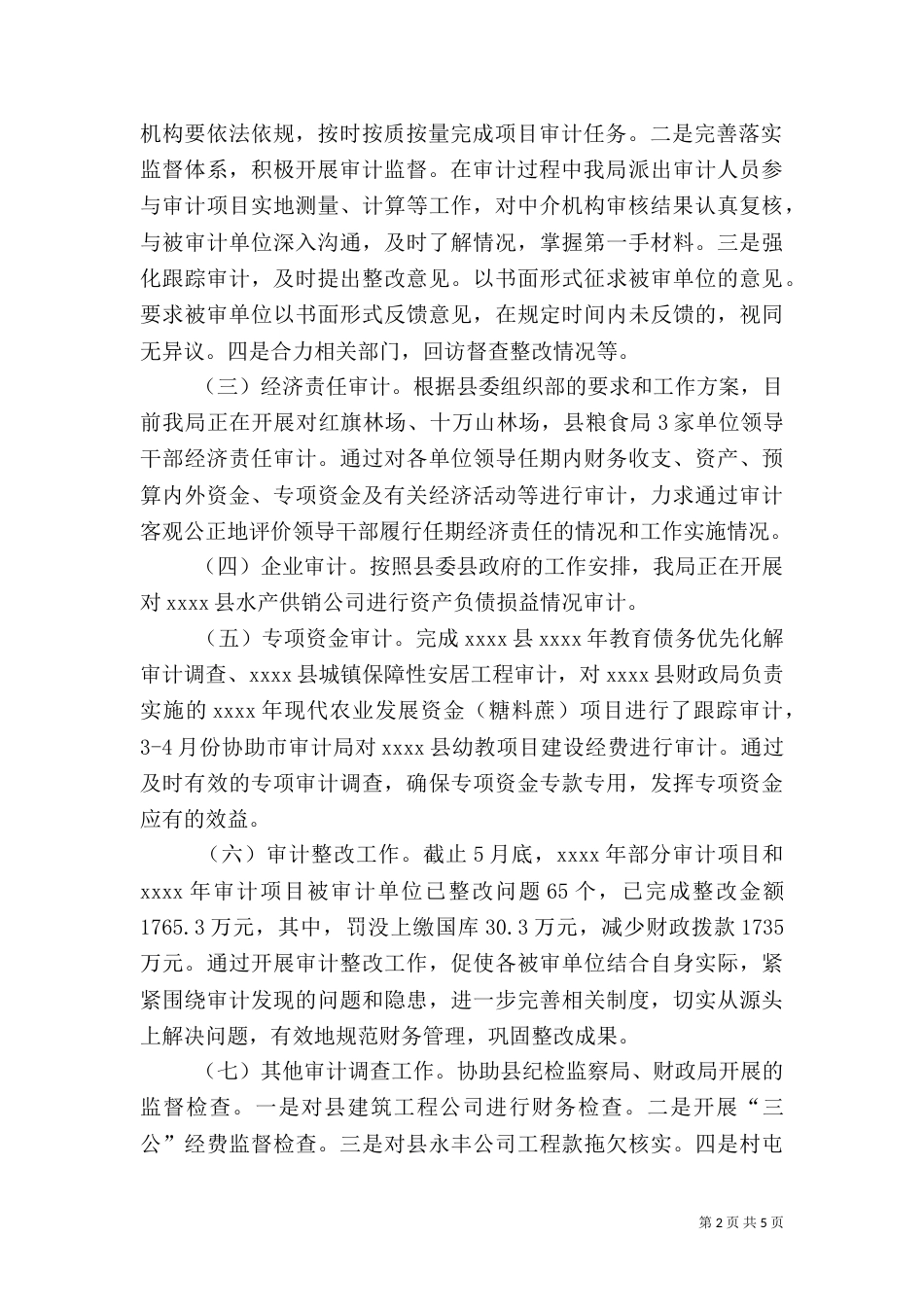 审计局上半年工作总结（五）_第2页