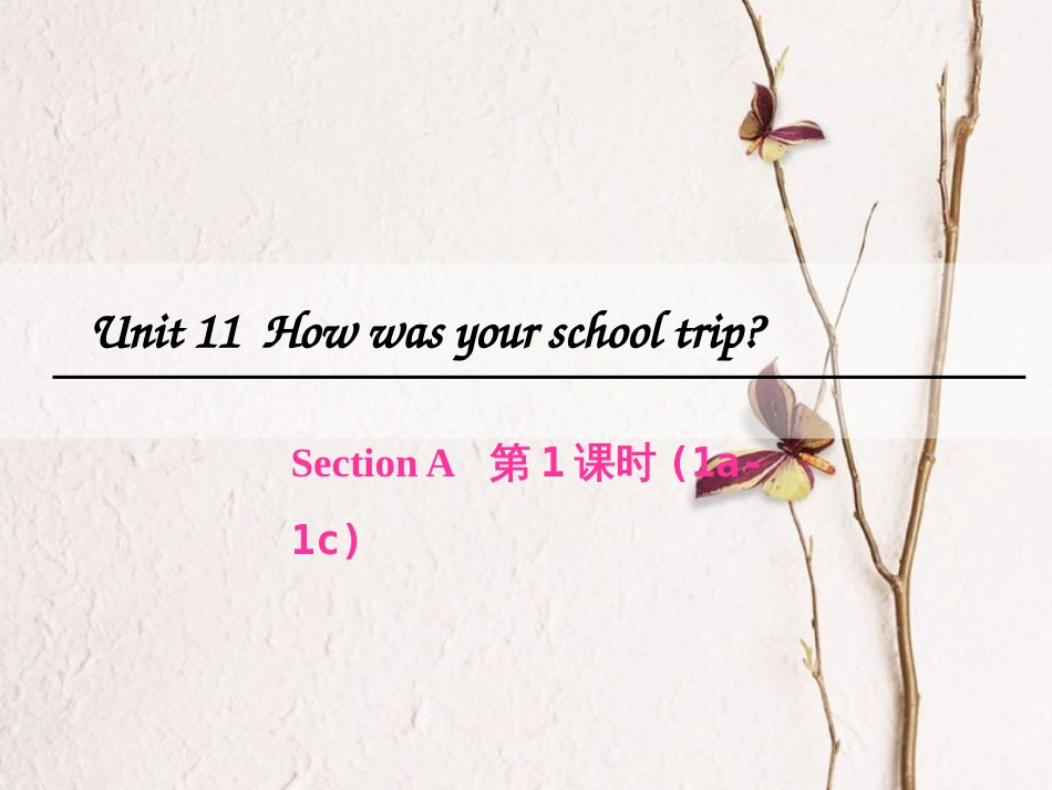 七年级英语下册 Unit 11 How was your school trip（第1课时）Section A（1a-1c）课件 （新版）人教新目标版_第1页