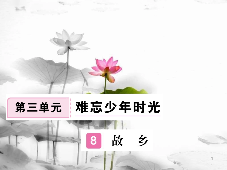 安徽省九年级语文上册 第三单元 9 故乡习题讲评课件 新人教版[共22页]_第1页