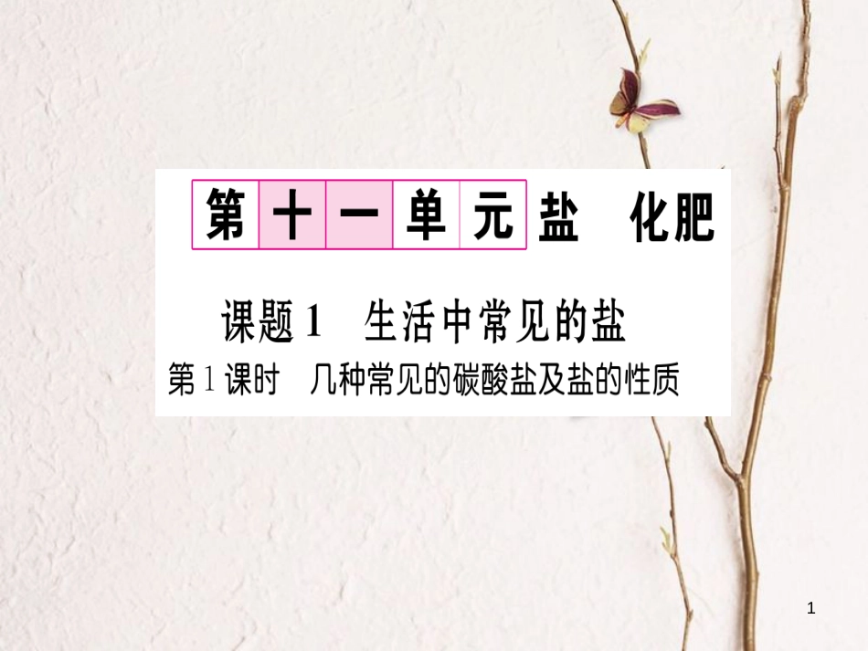 九年级化学下册 第11单元 盐 化肥 课题1 生活中常见的盐 第1课时 几种常见的碳酸盐及盐的性质习题课件 （新版）新人教版[共19页]_第1页