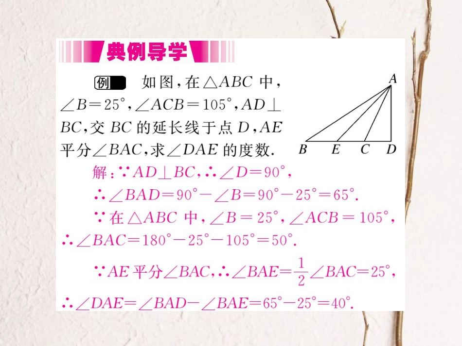 八年级数学上册 11.2.1 第2课时 直角三角形的两锐角互余（小册子）课件 （新版）新人教版_第3页