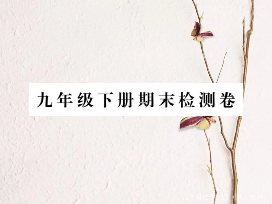 （贵州专）九年级化学下册 期末复习课件 （新）新人教版_第1页