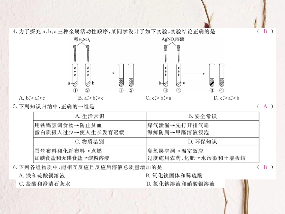 （贵州专）九年级化学下册 期末复习课件 （新）新人教版_第3页