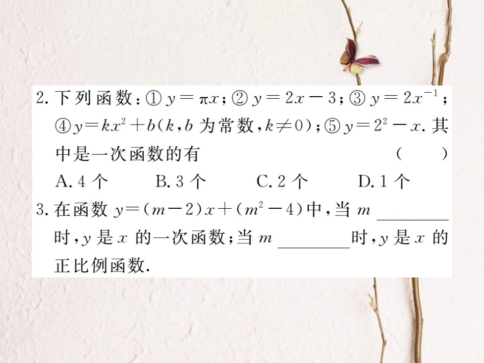 八年级数学上册 4.2 一次函数与正比例函数习题课件 （新版）北师大版_第2页