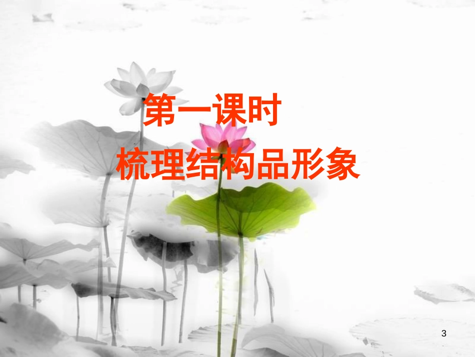 安徽省合肥市育英学校九年级语文下册 第二单元 第6课《蒲柳人家（节选）》课件 新人教版_第3页
