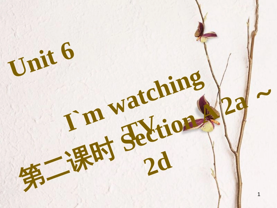 七年级英语下册 Unit 6 I’m watching TV（第2课时）Section A（2a-2d）习题课件 （新版）人教新目标版_第1页