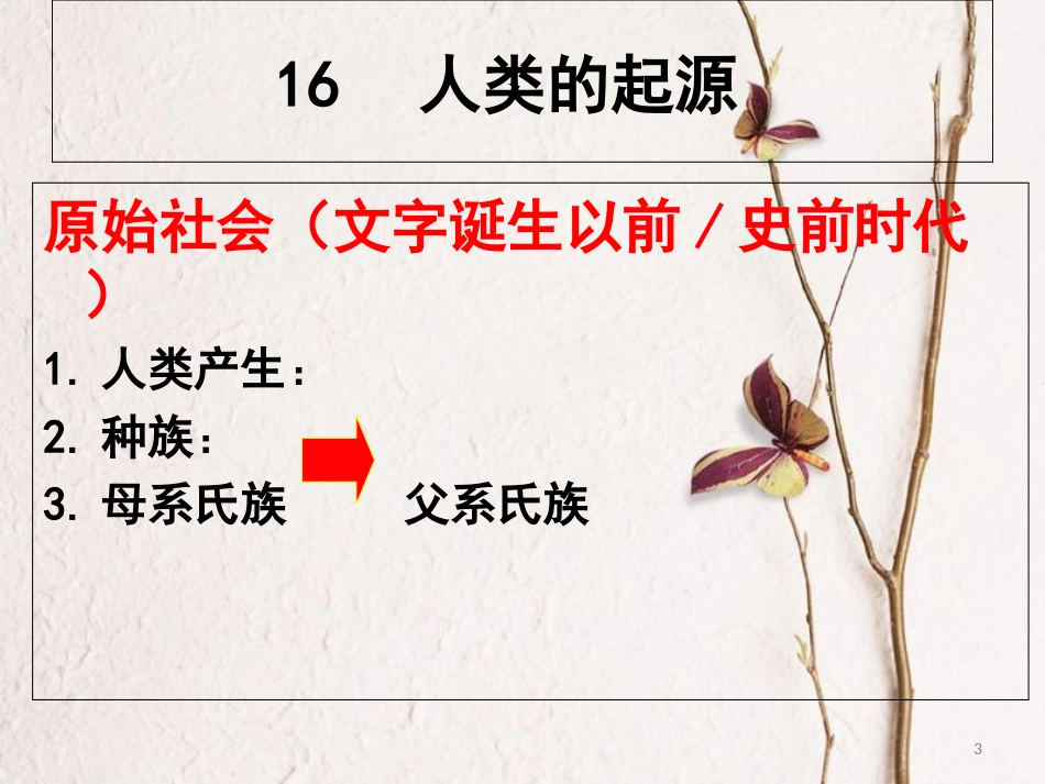 广东省佛山市八年级历史下学期期末复习课件一 北师大版[共21页]_第3页