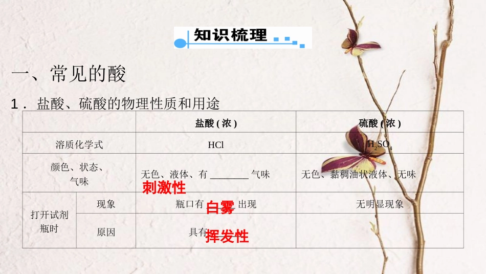广东省中考化学 第一部分 基础过关 课时12 酸和碱课件_第2页