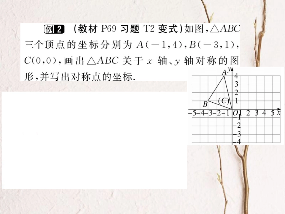 八年级数学上册 3.3 轴对称与坐标变化（小册子）课件 （新版）北师大版_第3页