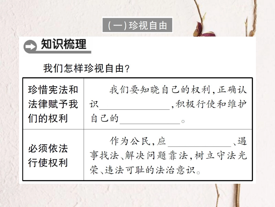 八年级道德与法治下册 第四单元 崇尚法治精神 第七课 尊重自由平等 第2框 自由平等的追求课件 新人教版[共29页]_第2页