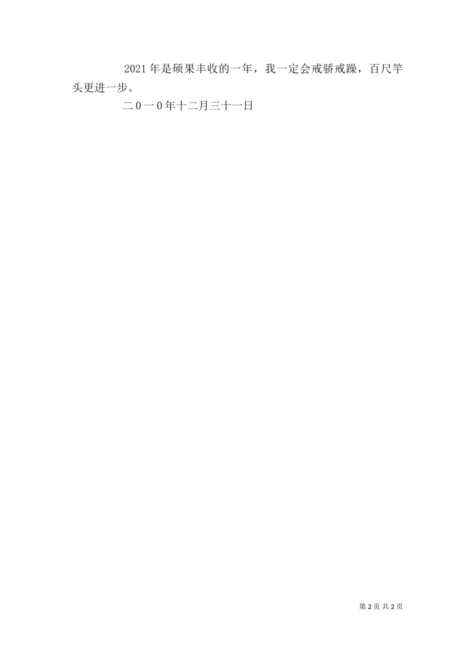 卫生局个人工作总结（四）_第2页