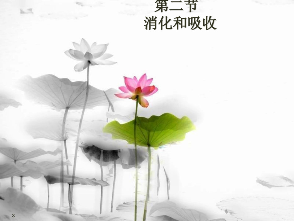 安徽省桐城市嬉子湖中心学校七年级生物下册 4.2.2 消化和吸收课件 （新版）新人教版[共36页]_第3页