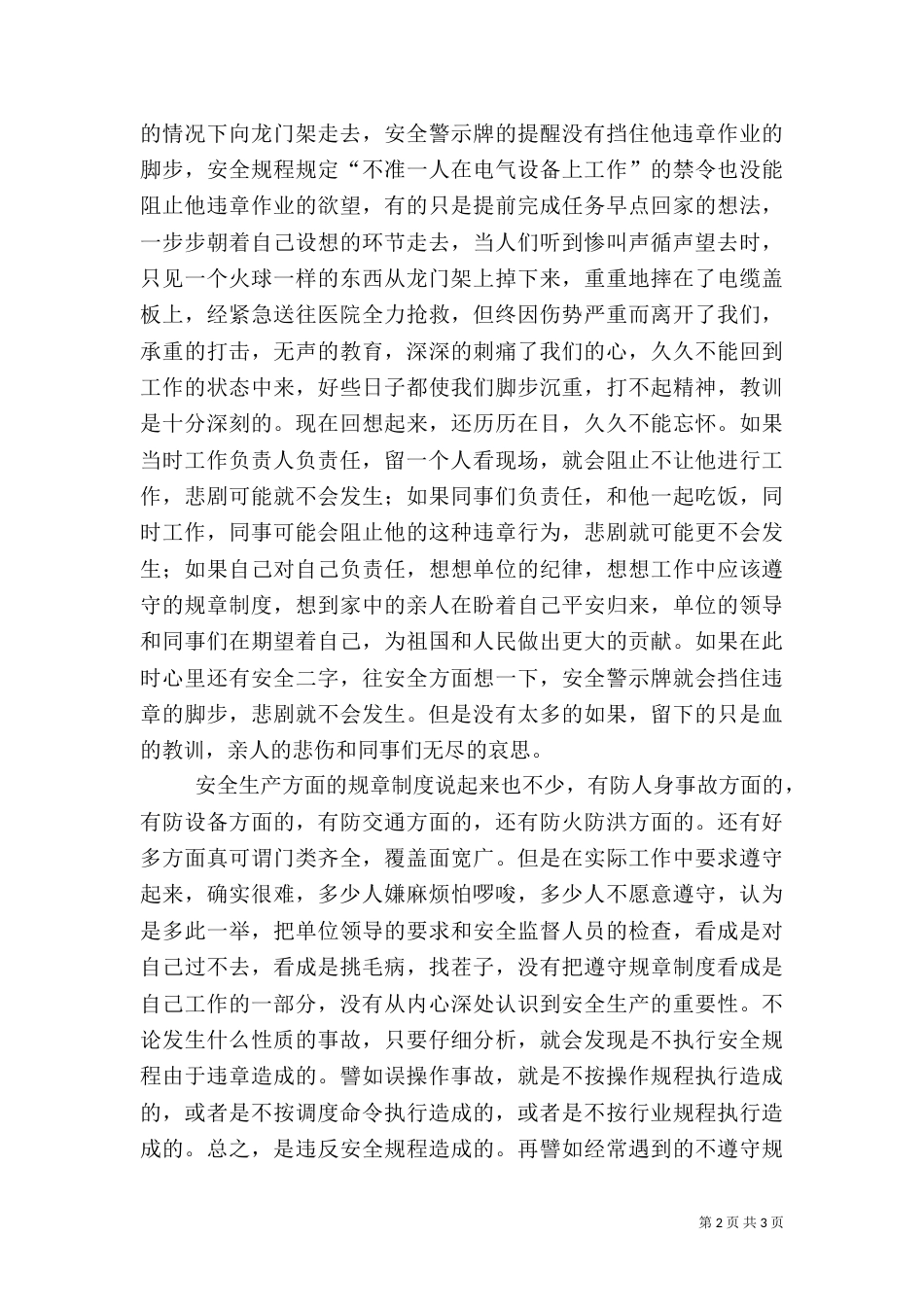 电力安全生产演讲稿（九）_第2页