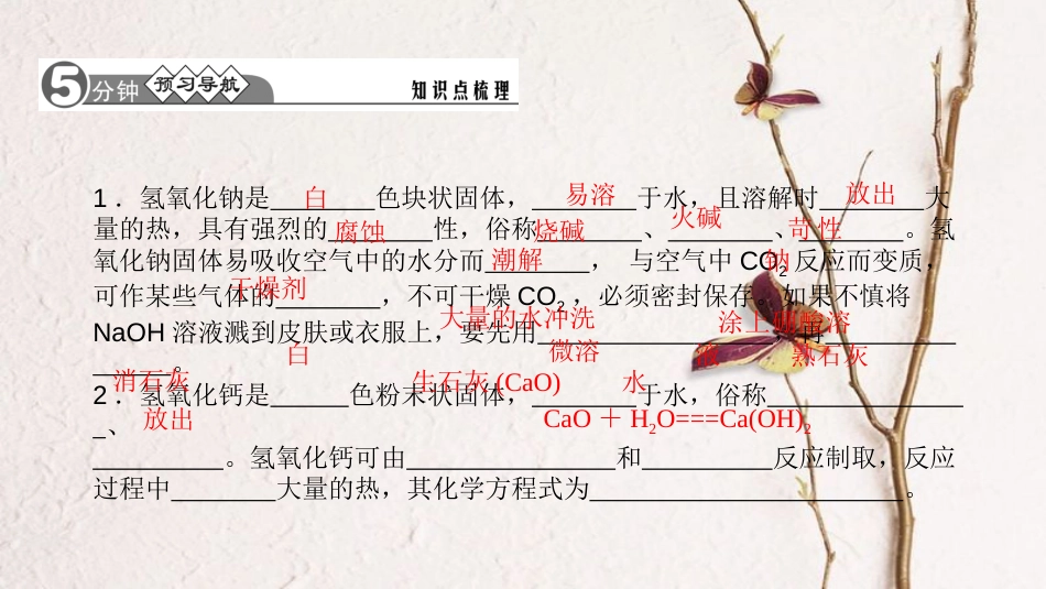 九年级化学下册 第十单元 酸和碱 10.1.2 常见的碱课件 （新版）新人教版_第2页