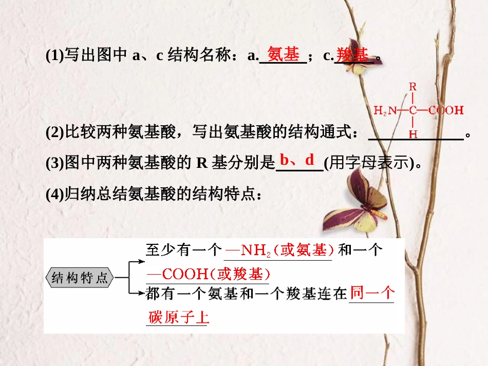 高中生物 第2章 组成细胞的分子 第2节 生命活动的主要承担者——蛋白质课件 新人教版必修1_第3页