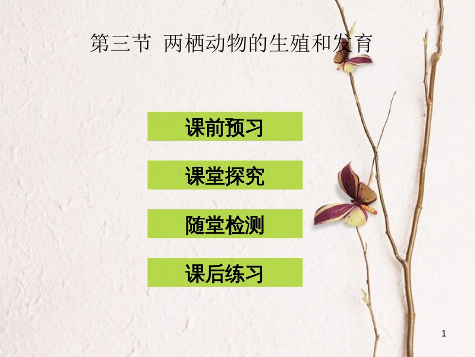 八年级生物下册 7.1.3 两栖动物的生殖和发育课件 （新版）新人教版_第1页