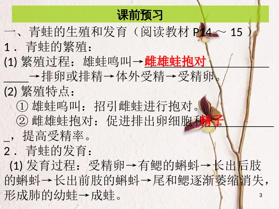 八年级生物下册 7.1.3 两栖动物的生殖和发育课件 （新版）新人教版_第3页