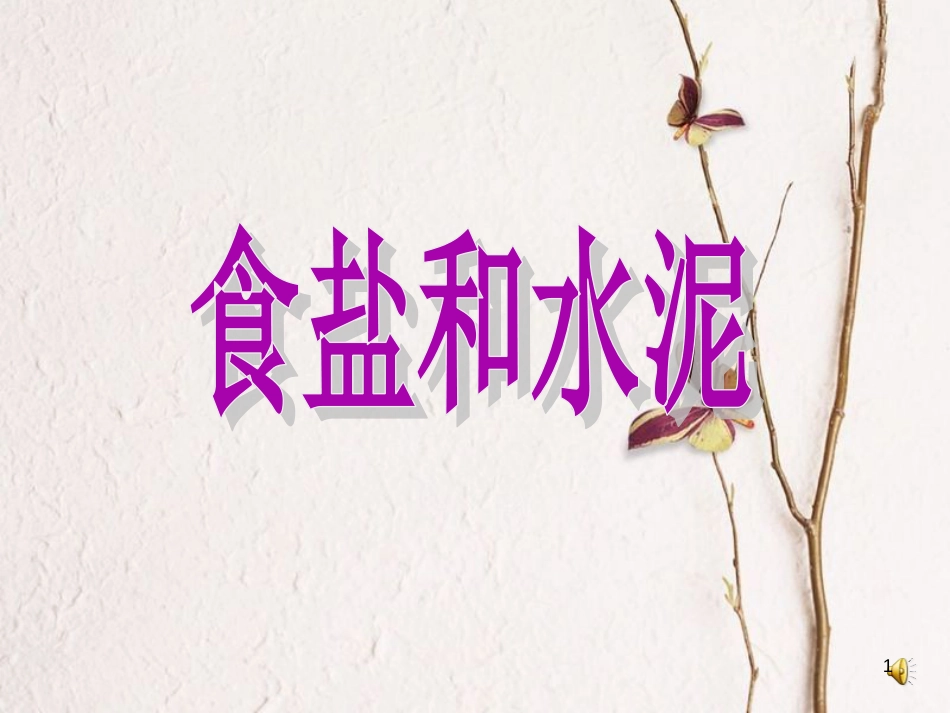 六年级科学上册 食盐和水泥课件1 青岛版[共10页]_第1页