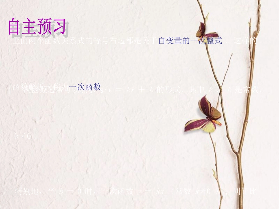 八年级数学上册 12.2 一次函数（1）教学课件 （新版）沪科版_第3页