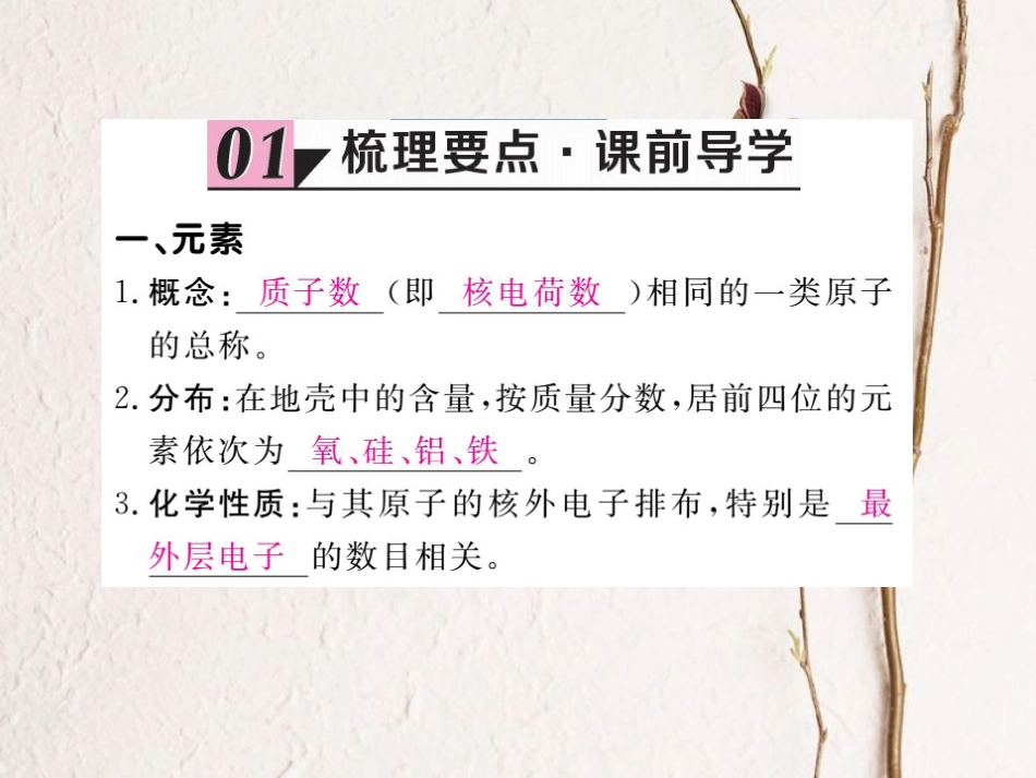 （贵州专）九年级化学上册 第三单元 课题3 第1课时 元素复习课件 （新）新人教版_第2页