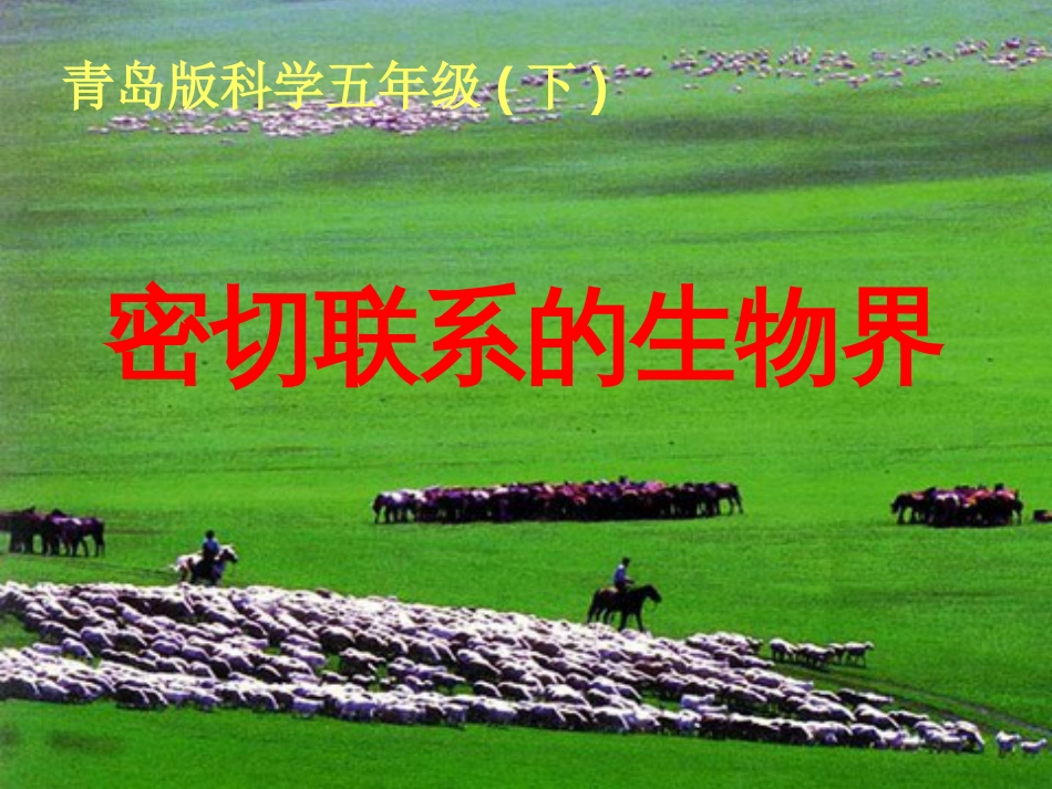 六年级科学上册 密切联系的生物界课件13 青岛版[共7页]_第1页