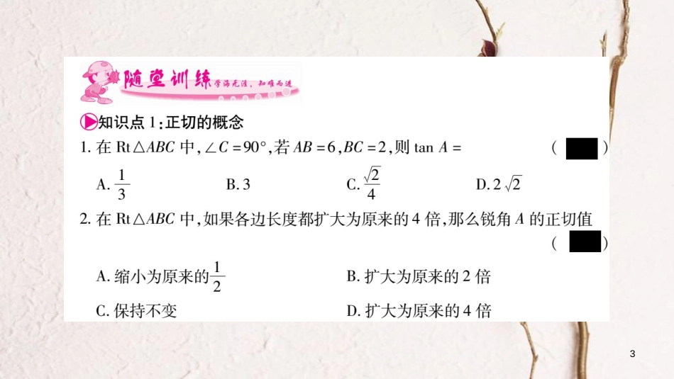 九年级数学下册 第一章 直角三角形的边角关系 1.1《锐角三角函数》习题课件 （新版）北师大版_第3页