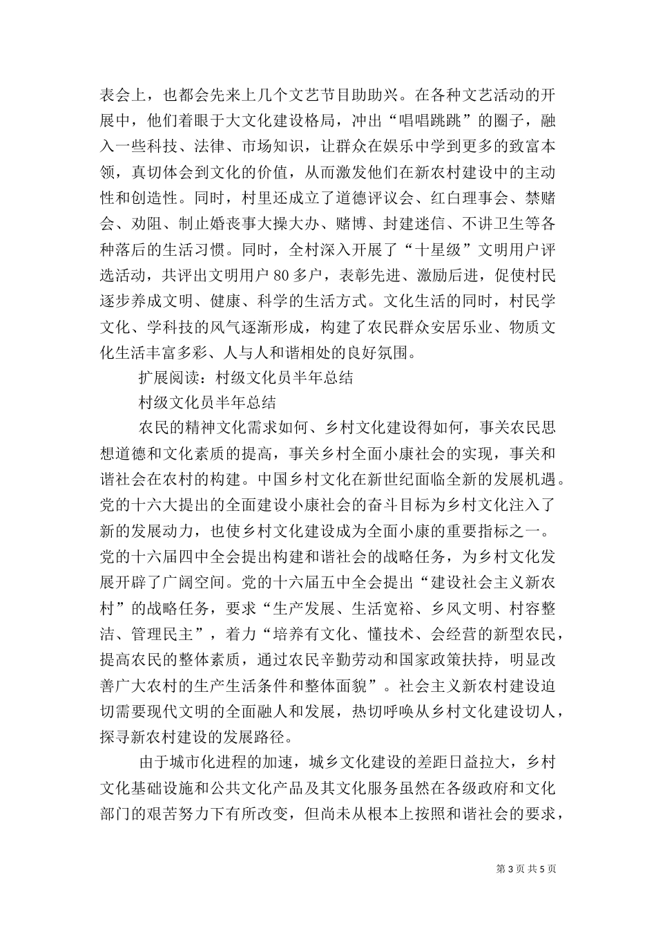各村文化员总结_第3页