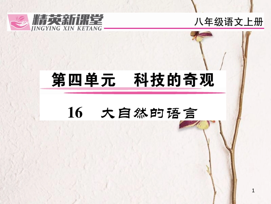 dapAAA八年级语文上册 第四单元 16《大自然的语言》课件 （新版）新人教版_第1页