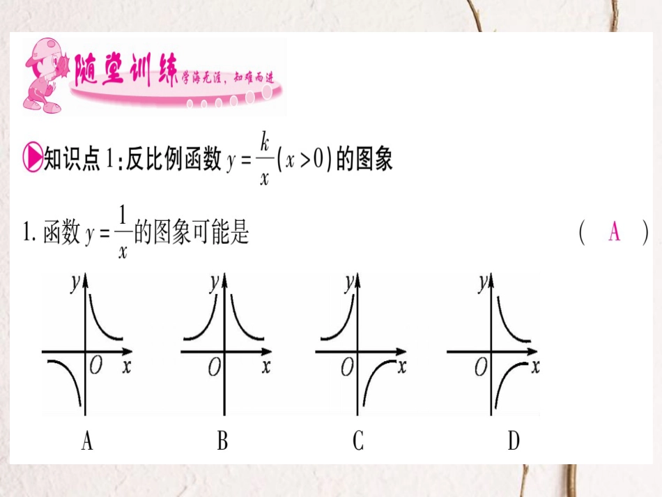 九年级数学上册 1.2 反比例函数的图像与性质习题课件 （新版）湘教版_第3页