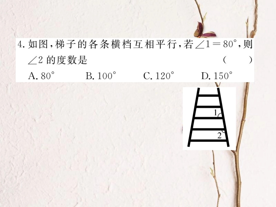 八年级数学上册 7.4 平行线的性质习题课件 （新版）北师大版_第3页