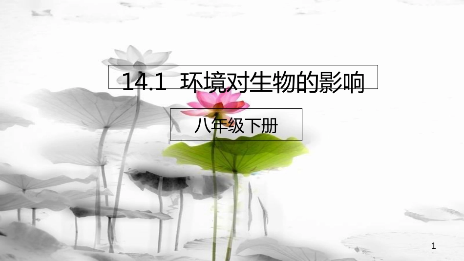 八年级生物下册 14.1 环境对生物的影响课件 北京课改版[共22页]_第1页