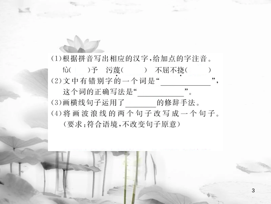 安徽省九年级语文上册 第二单元 6 纪念伏尔泰逝世一百周年的演说习题讲评课件 新人教版[共17页]_第3页
