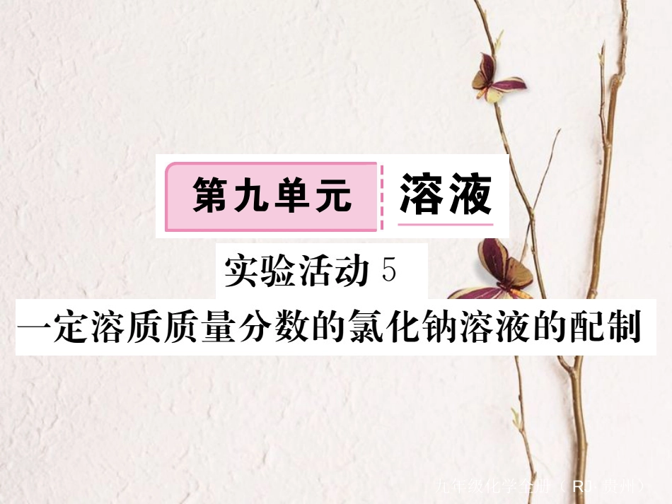 （贵州专）九年级化学下册 第九单元 实验活动5 一定质量分数的氯化钠溶液的配制复习课件 （新）新人教版_第1页